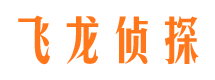 渑池侦探社